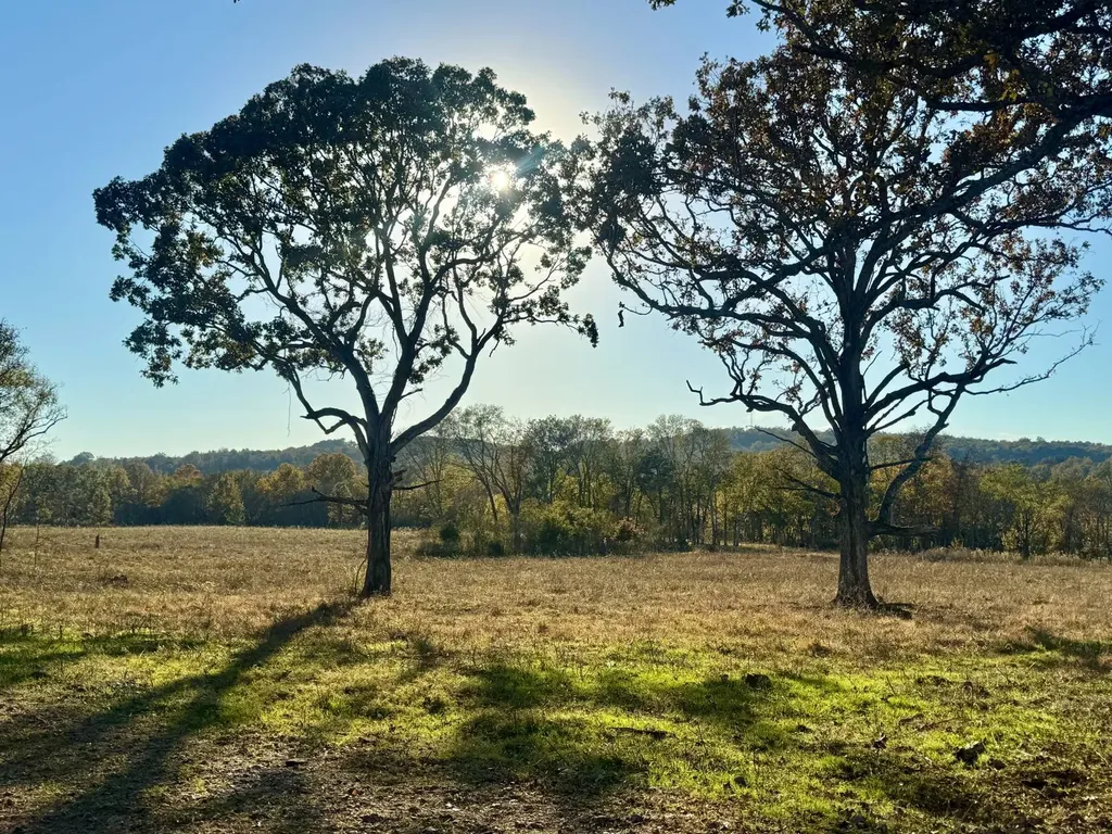 1 Co Highway 78 Russellville AL 35654