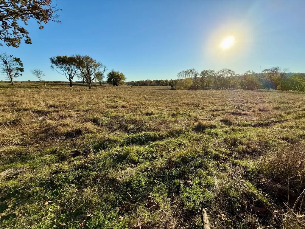 1 Co Highway 78 Russellville AL 35654