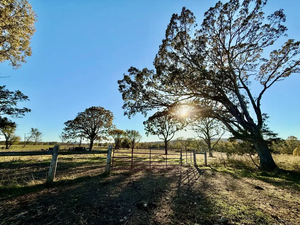 1 Co Highway 78 Russellville AL 35654