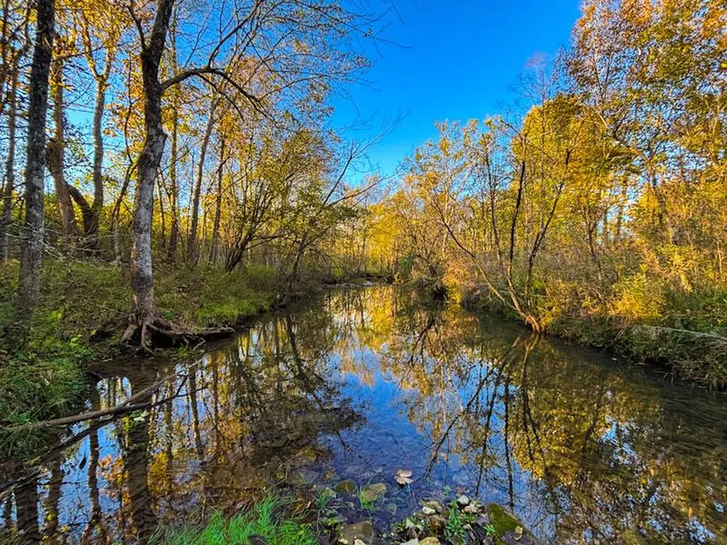 1 Co Highway 78 Russellville AL 35654