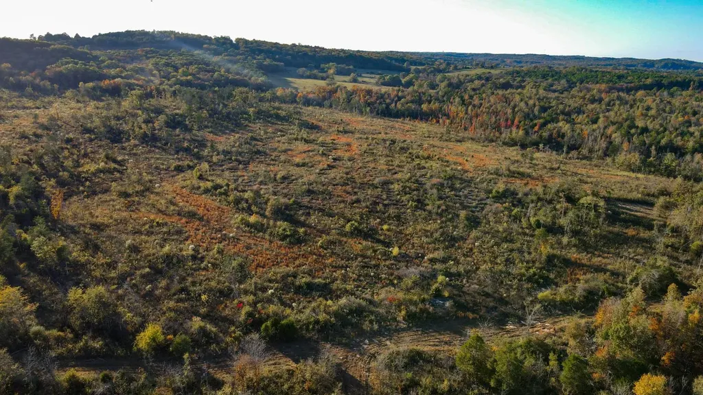 1 Co Highway 78 Russellville AL 35654