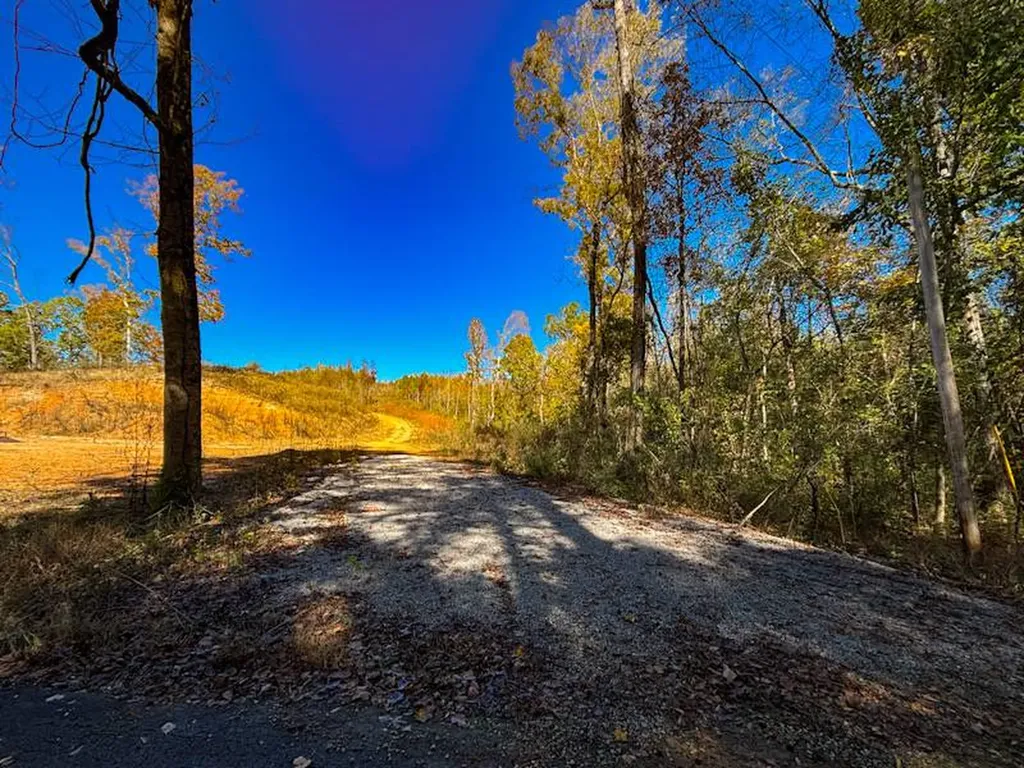 1 Lake Bend Shores Drive Florence AL 35677