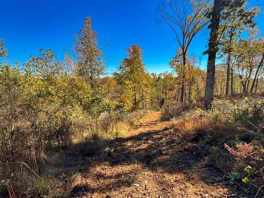 2 Lake Bend Shores Drive Florence AL 35633