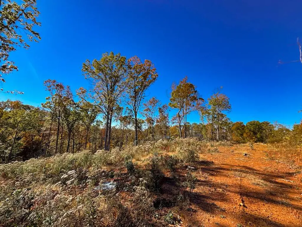 2 Lake Bend Shores Drive Florence AL 35633