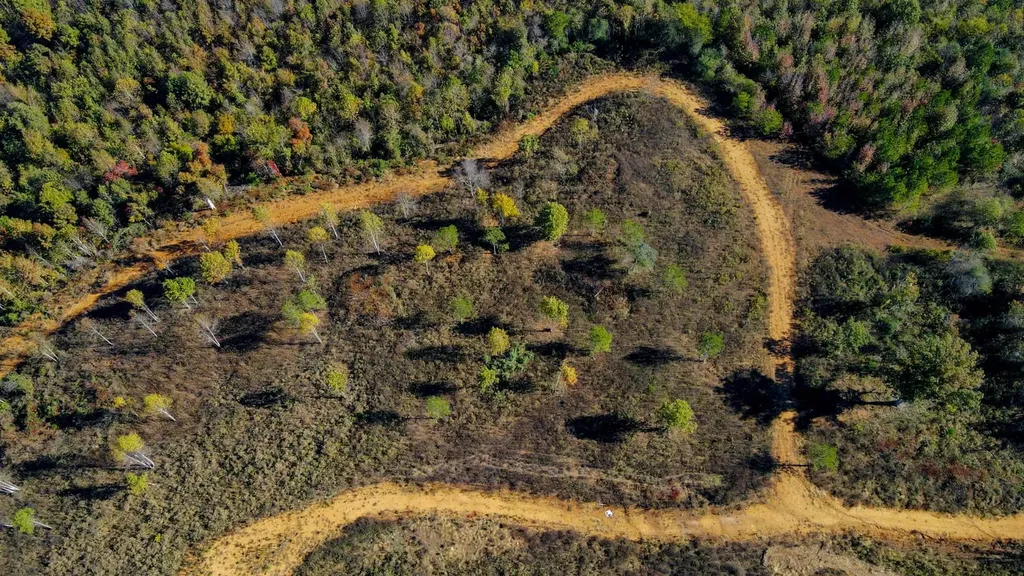 2 Lake Bend Shores Drive Florence AL 35633