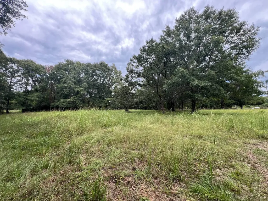 0 Washington Street Marion AL 36756