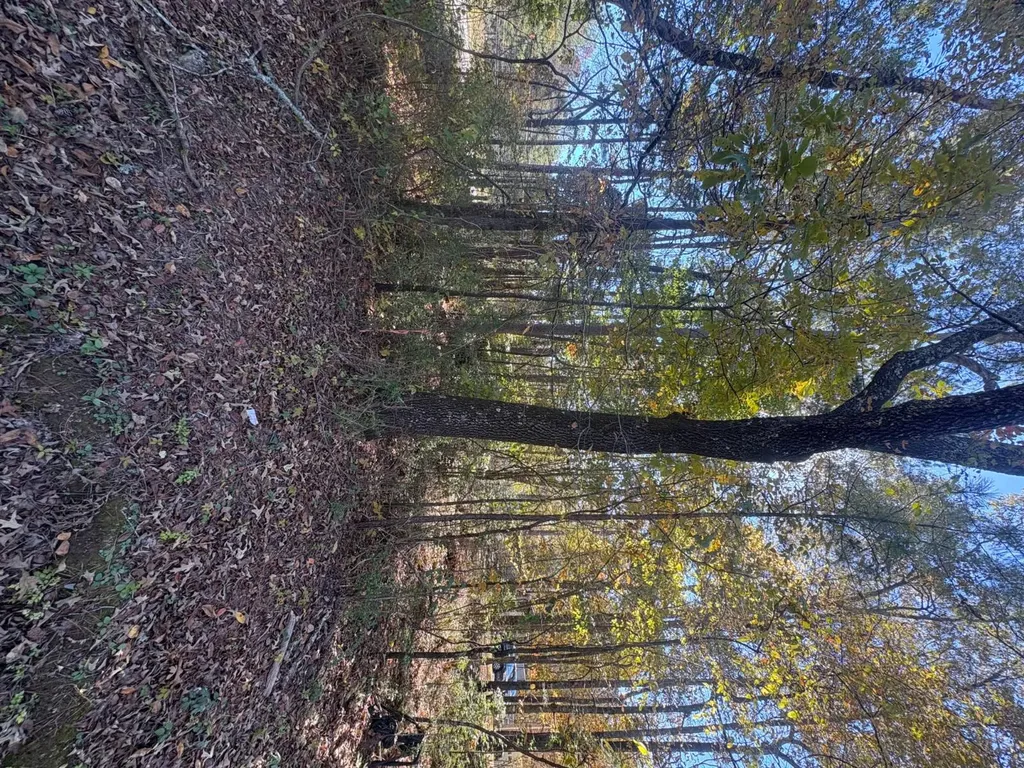 7730 Highway 75 Pinson AL 35126
