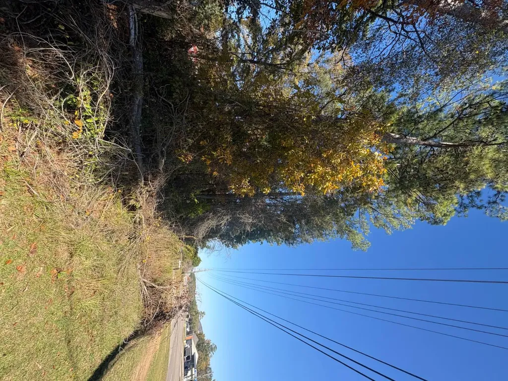 7730 Highway 75 Pinson AL 35126