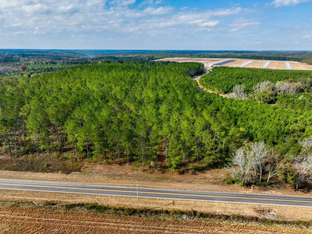 4.25 County Road 515 New Brockton AL 36351
