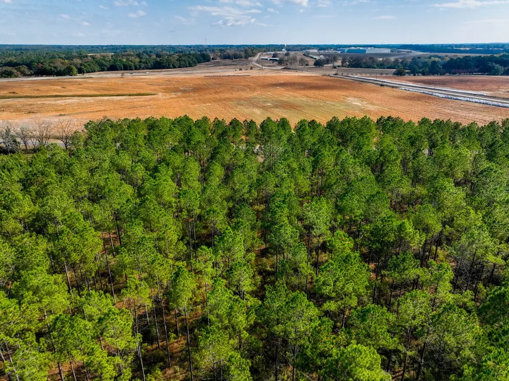 4.25 County Road 515 New Brockton AL 36351