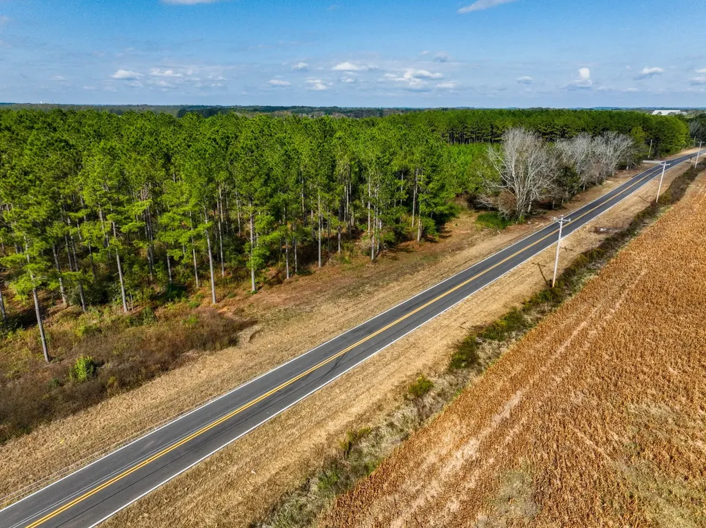 4.25 County Road 515 New Brockton AL 36351