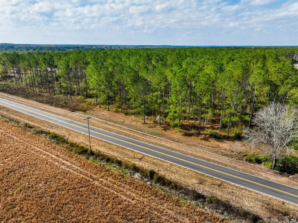 4.25 County Road 515 New Brockton AL 36351