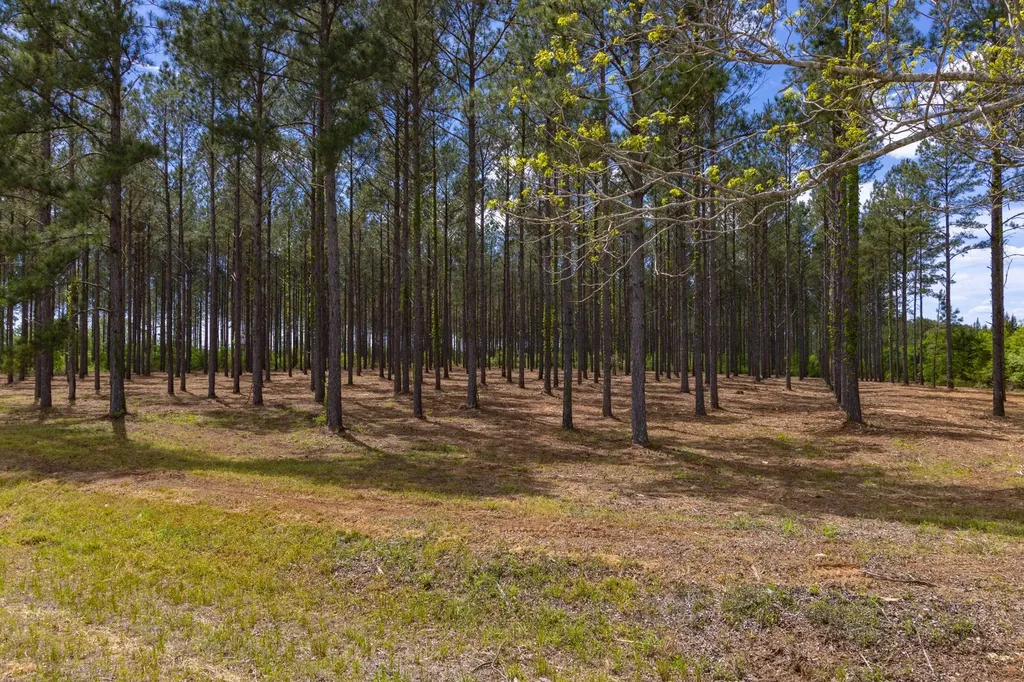 4.25 County Road 515 New Brockton AL 36351