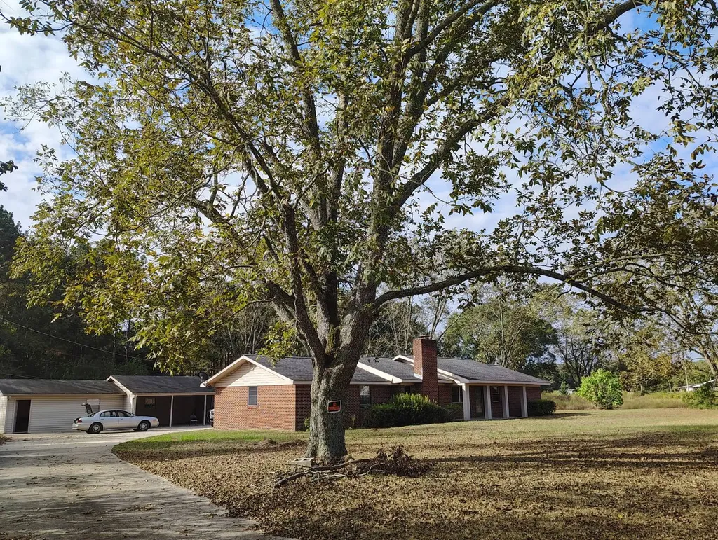 30080 County Line Loop Opp AL 36467