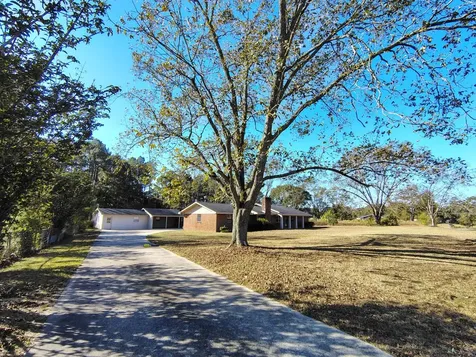 30080 County Line Loop Opp AL 36467