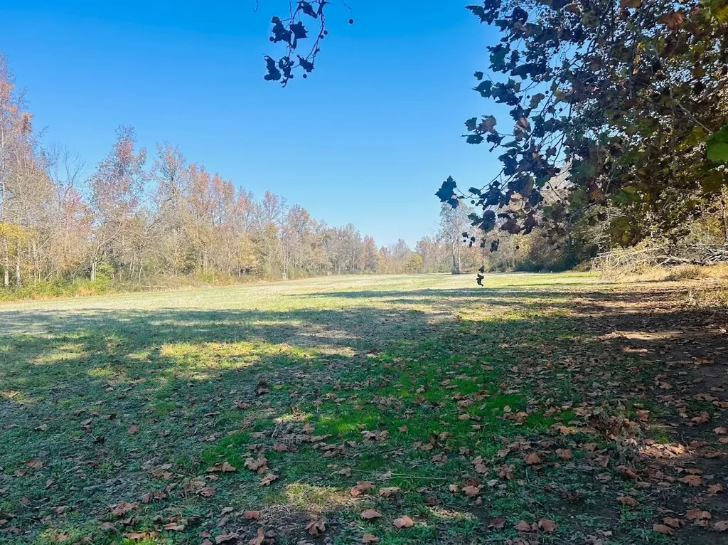 0 Us Highway 11 N Attalla AL 35954