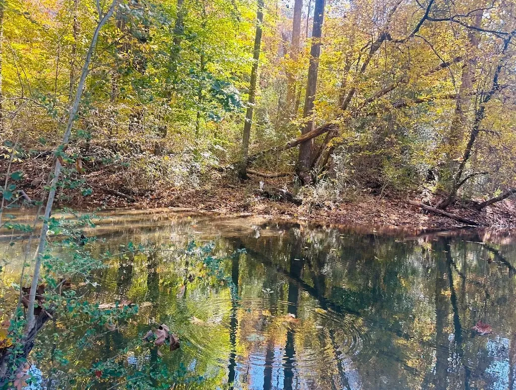 0 Us Highway 11 N Attalla AL 35954