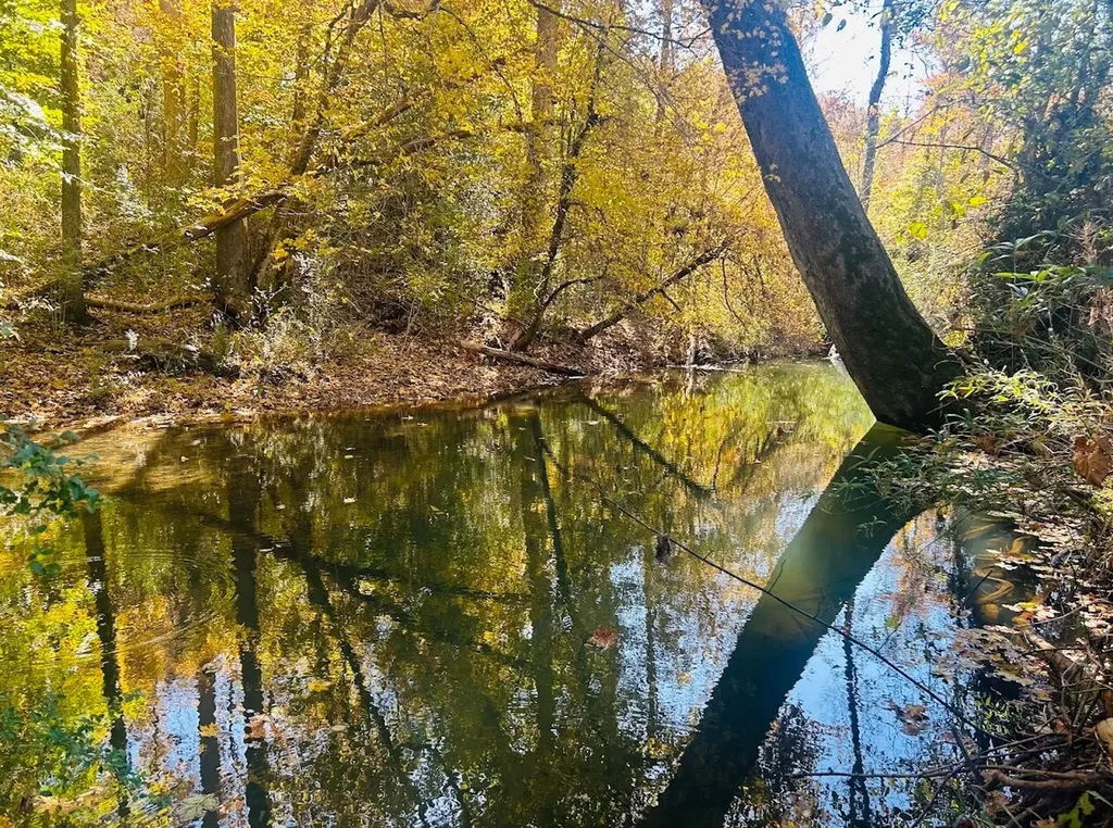 0 Us Highway 11 N Attalla AL 35954