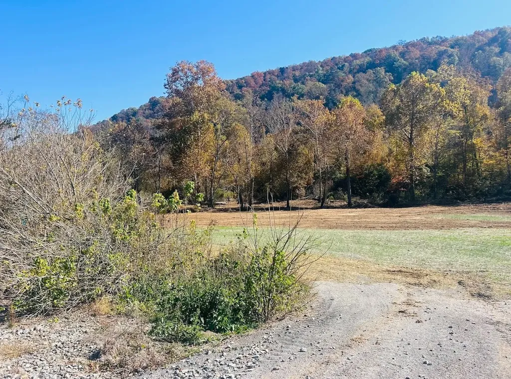 0 Us Highway 11 N Attalla AL 35954