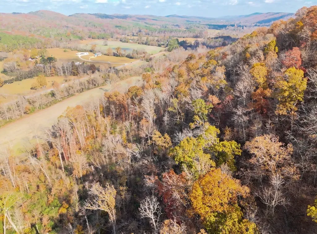 0 Us Highway 11 N Attalla AL 35954