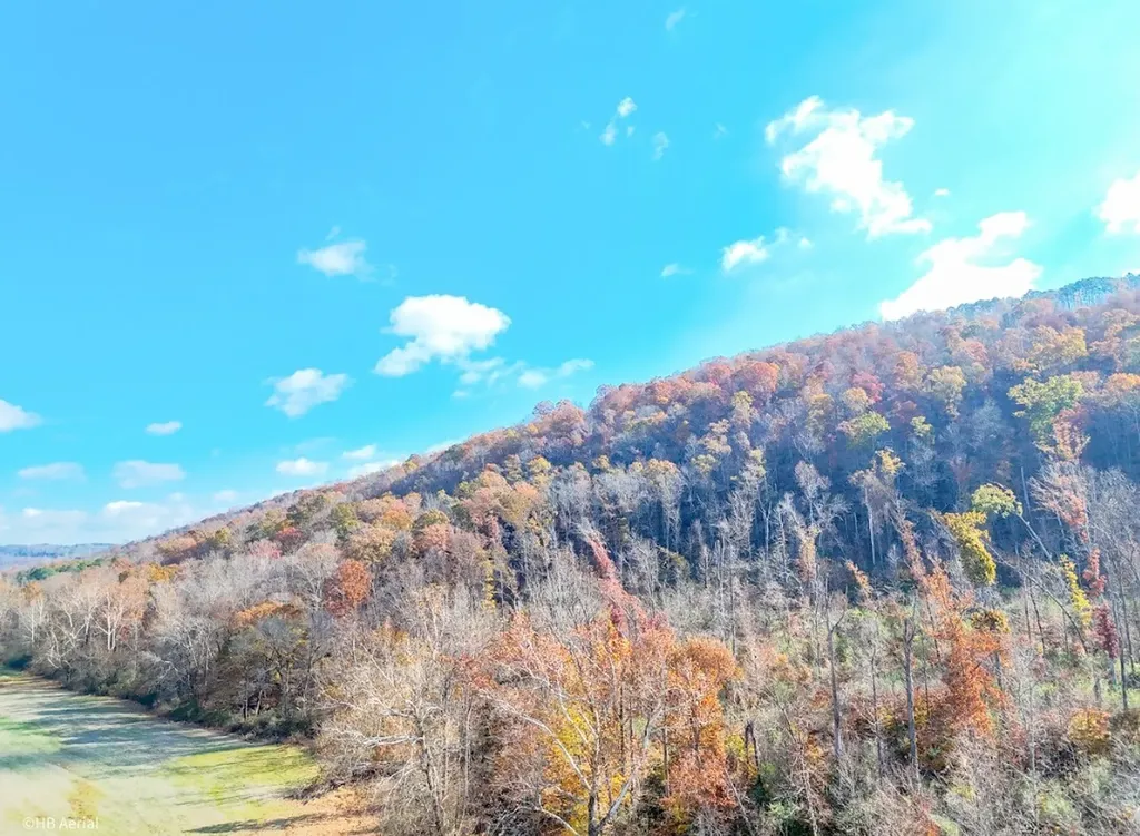 0 Us Highway 11 N Attalla AL 35954