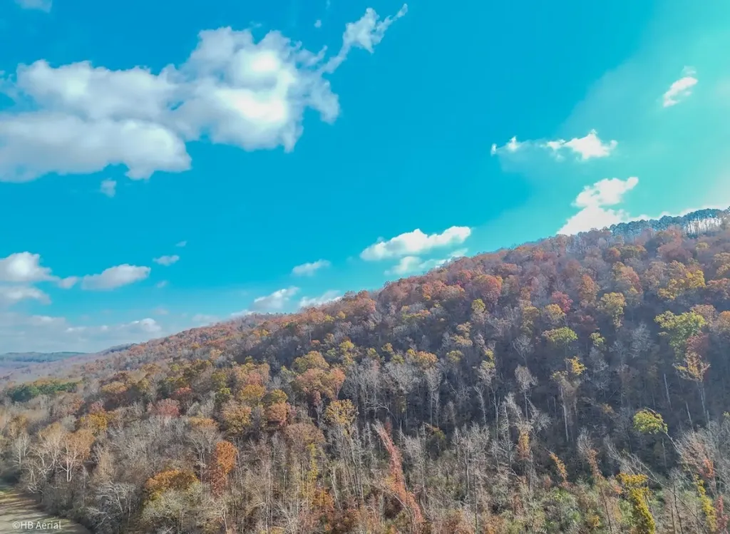 0 Us Highway 11 N Attalla AL 35954