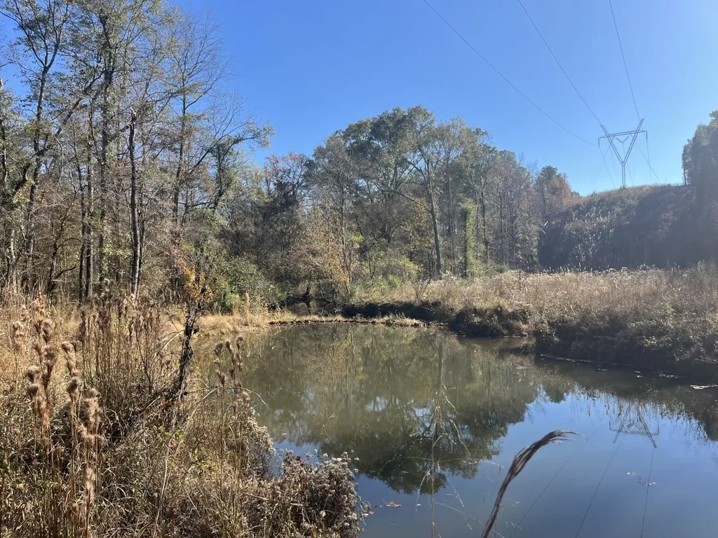 0 County Road 441 Wilsonville AL 35186