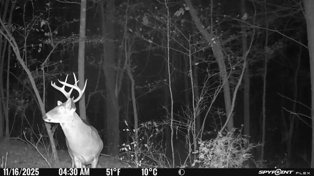 0 County Road 441 Wilsonville AL 35186