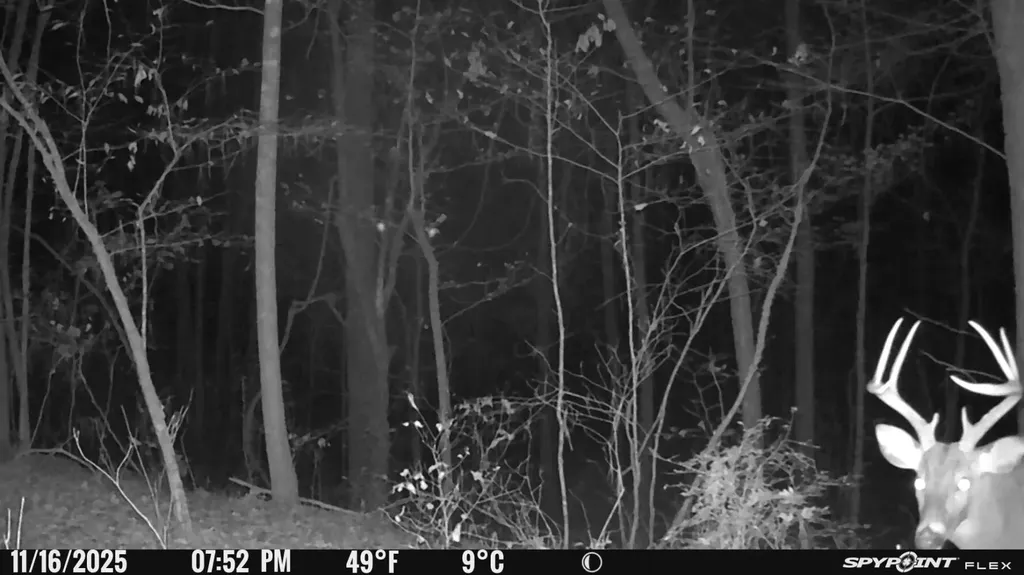 0 County Road 441 Wilsonville AL 35186