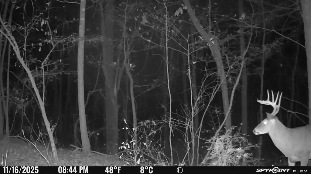 0 County Road 441 Wilsonville AL 35186