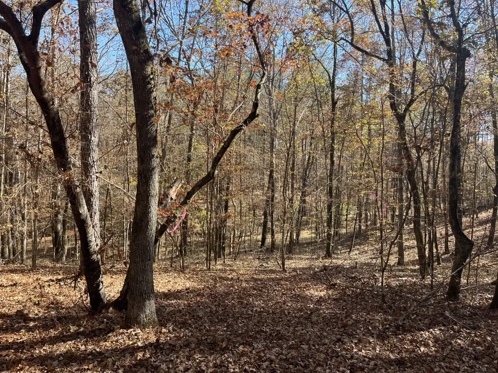 0 County Road 441 Wilsonville AL 35186