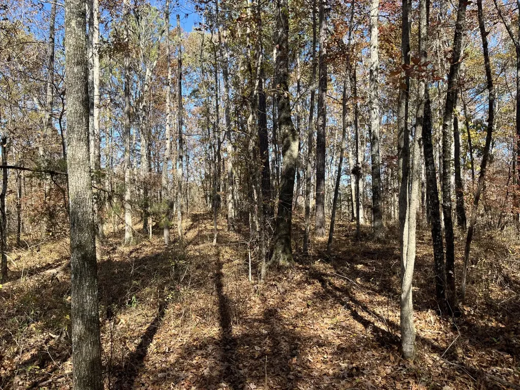 0 County Road 441 Wilsonville AL 35186
