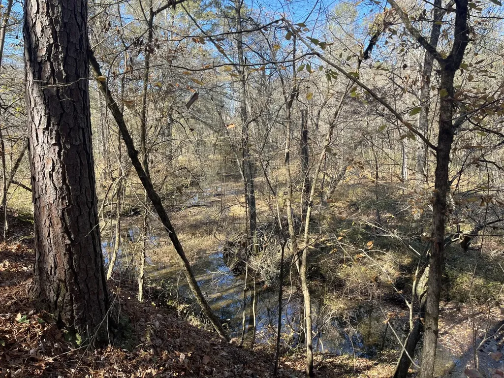 0 County Road 441 Wilsonville AL 35186