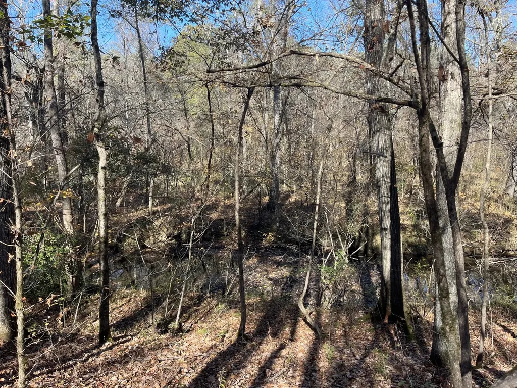 0 County Road 441 Wilsonville AL 35186