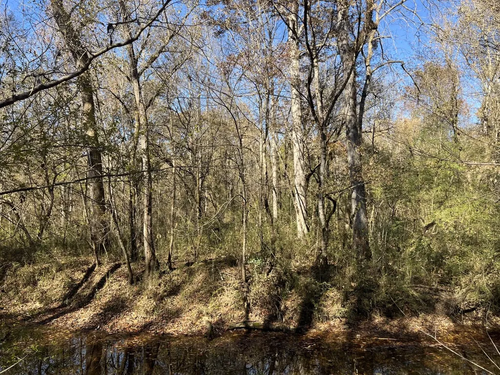 0 County Road 441 Wilsonville AL 35186