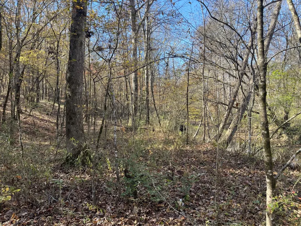 0 County Road 441 Wilsonville AL 35186