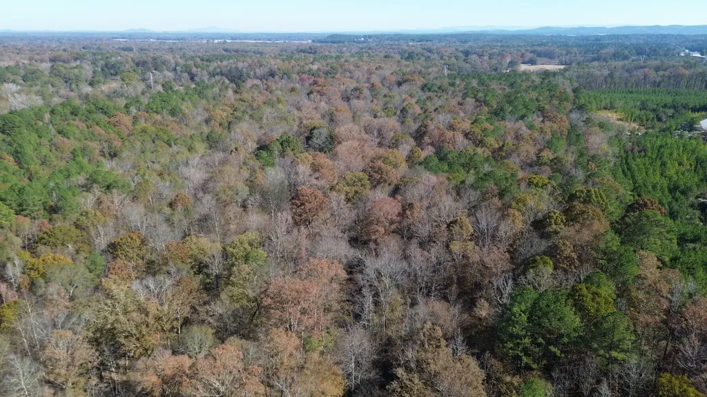 0 County Road 441 Wilsonville AL 35186