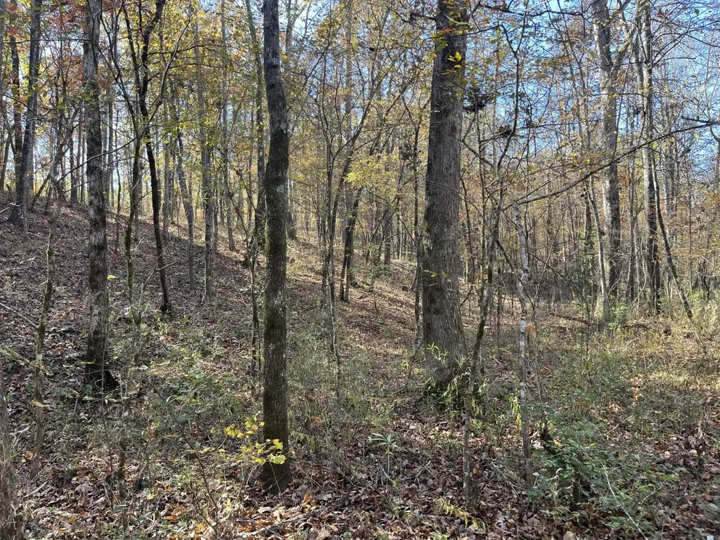 0 County Road 441 Wilsonville AL 35186