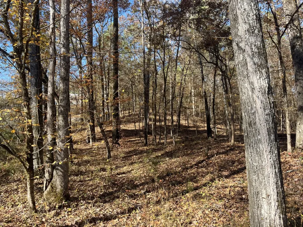 0 County Road 441 Wilsonville AL 35186
