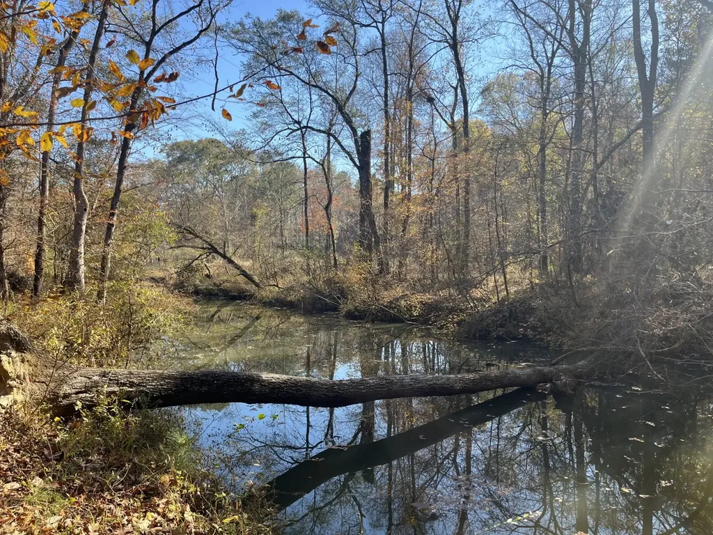 0 County Road 441 Wilsonville AL 35186