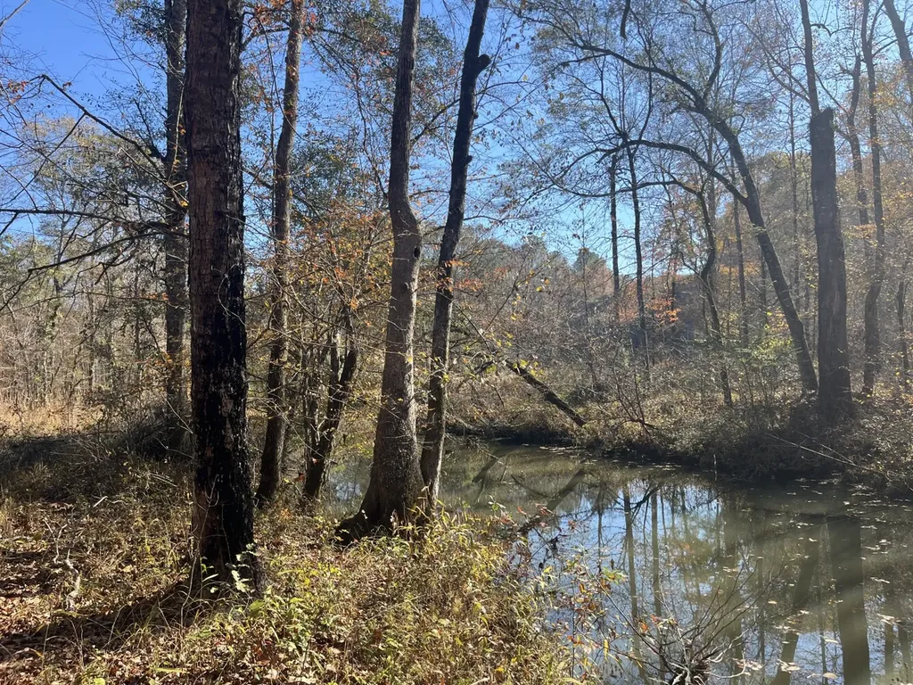 0 County Road 441 Wilsonville AL 35186