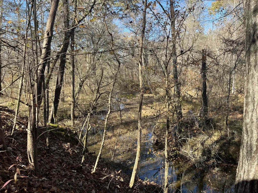 0 County Road 441 Wilsonville AL 35186