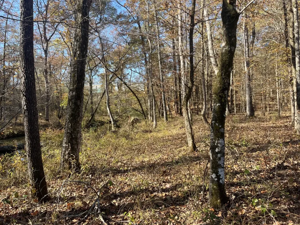 0 County Road 441 Wilsonville AL 35186