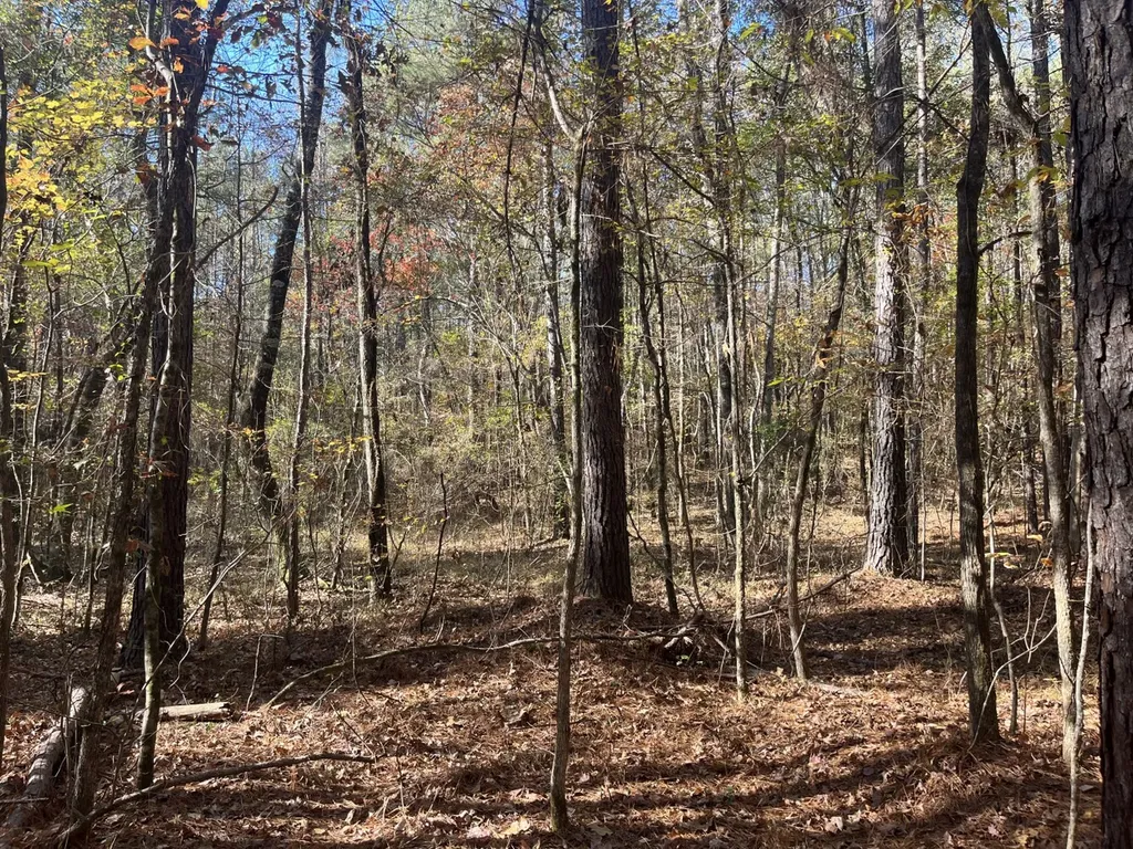 0 County Road 441 Wilsonville AL 35186