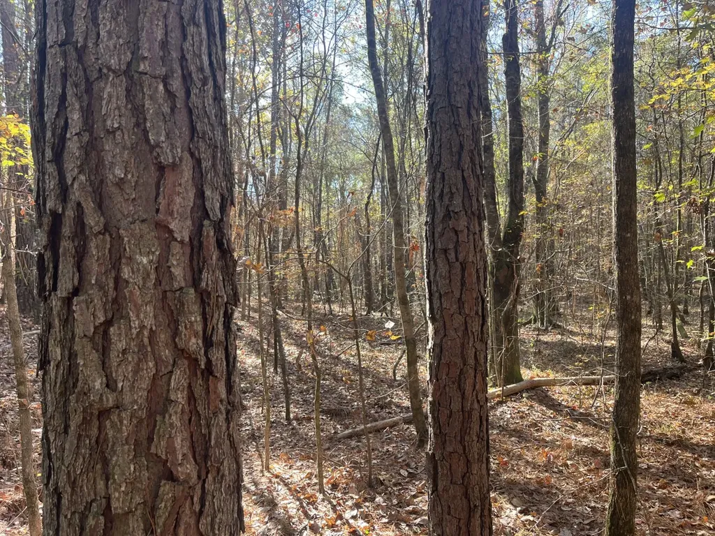 0 County Road 441 Wilsonville AL 35186
