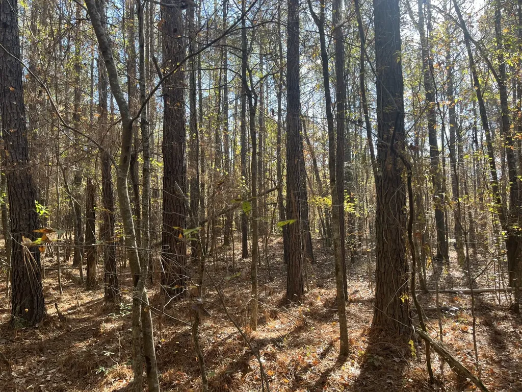 0 County Road 441 Wilsonville AL 35186