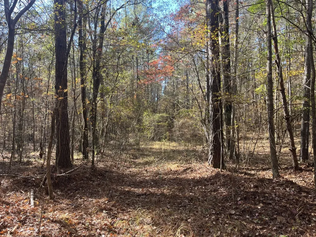 0 County Road 441 Wilsonville AL 35186