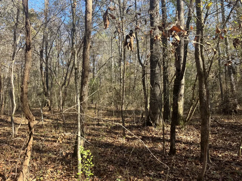 0 County Road 441 Wilsonville AL 35186