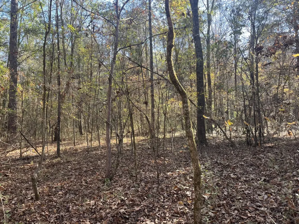 0 County Road 441 Wilsonville AL 35186
