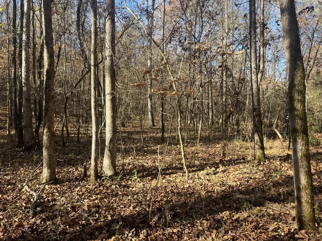 0 County Road 441 Wilsonville AL 35186